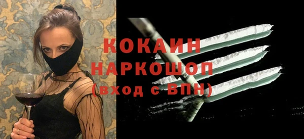 индика Кукмор