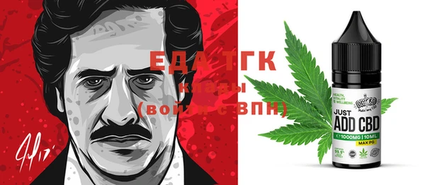 индика Кукмор