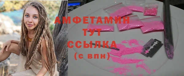 индика Кукмор