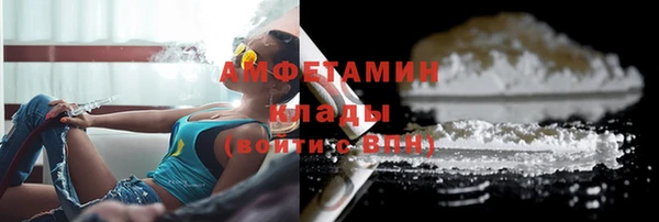 индика Кукмор